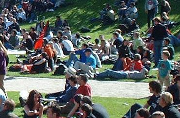 Anarchist flag in the park